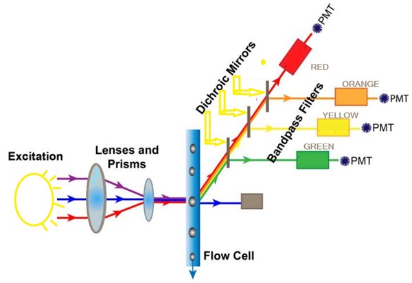 流式细胞仪滤光片